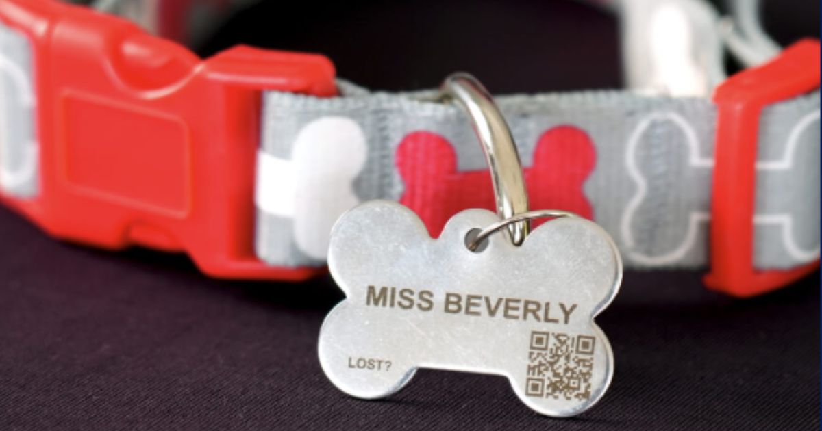 free-pet-id-tag-todd-s-freebies